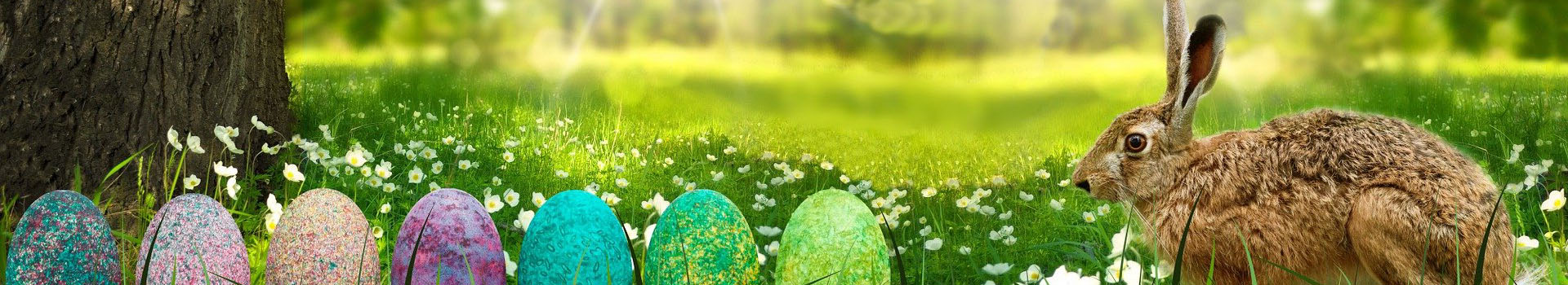 Kompas bilety autokarowe